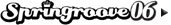 SPRINGROOVE 2006