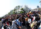 ATTRACTIONS & AUDIENCE
